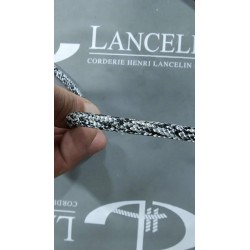 Punch - Lancelin